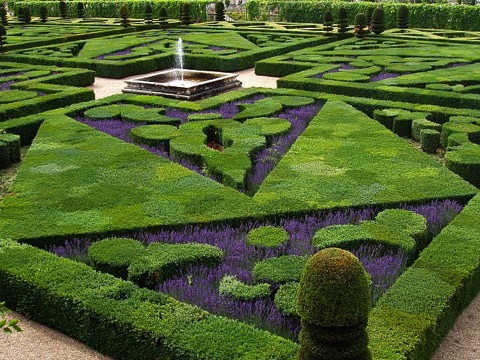 640px-French_Formal_Garden_in_Loire_Valley