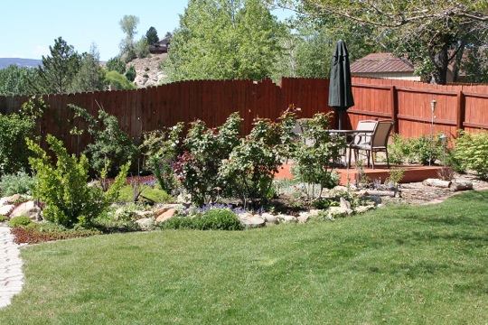 backyard-1200x800-garden-backyard-garden-urumix.com